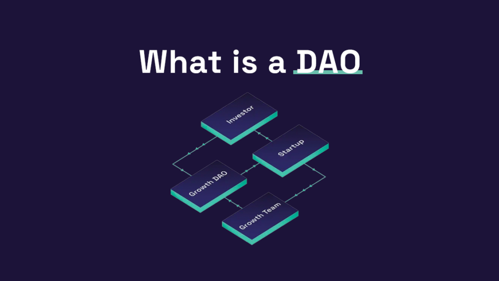 what is a dao